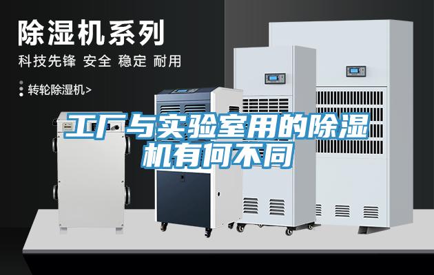 工厂与实验室用的MR.好色破解版有何不同