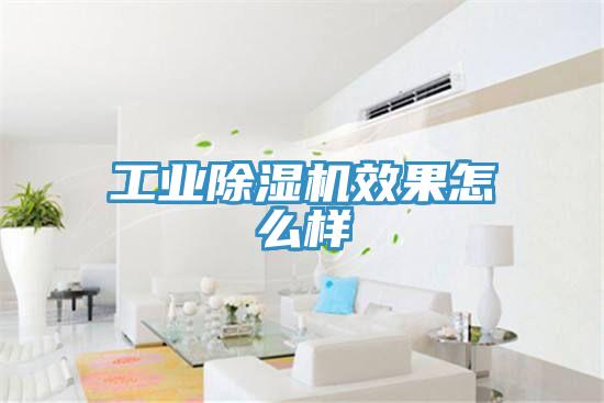工业MR.好色破解版效果怎么样