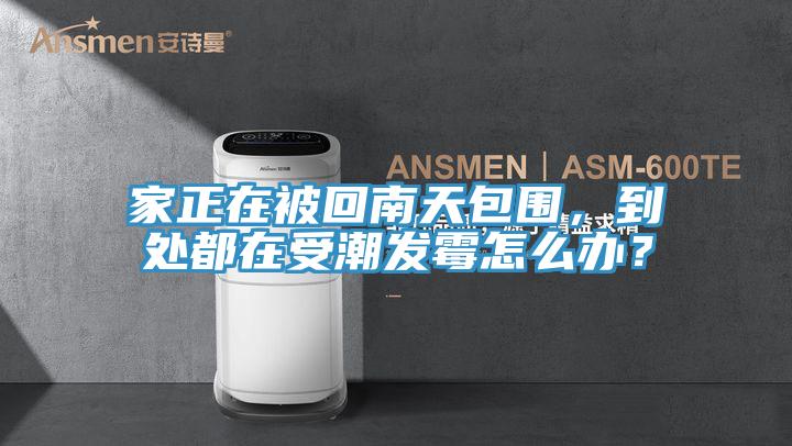 家正在被回南天包围，到处都在受潮发霉怎么办？