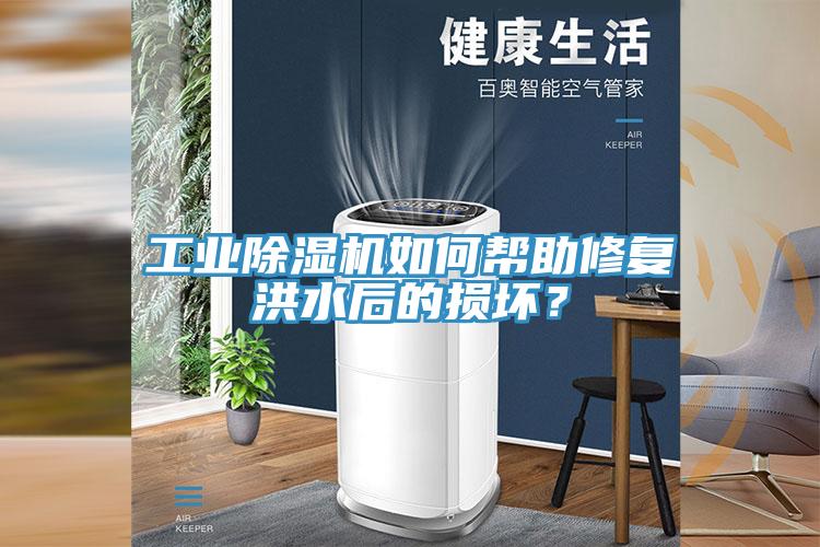 工业MR.好色破解版如何帮助修复洪水后的损坏？