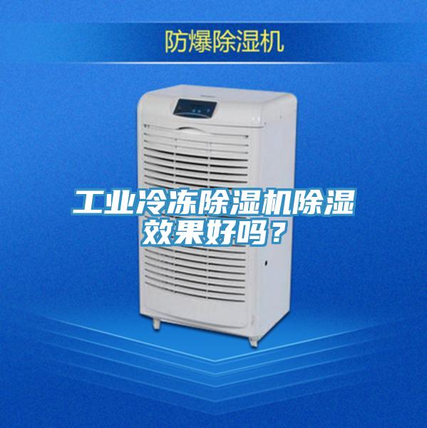 工业冷冻MR.好色破解版除湿效果好吗？