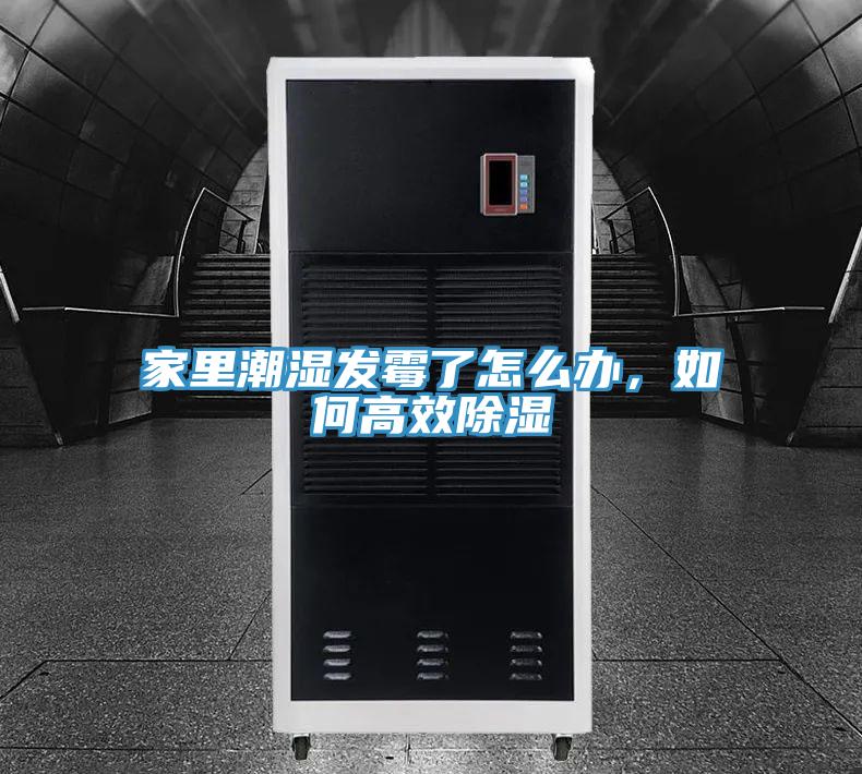 家里潮湿发霉了怎么办，如何高效除湿