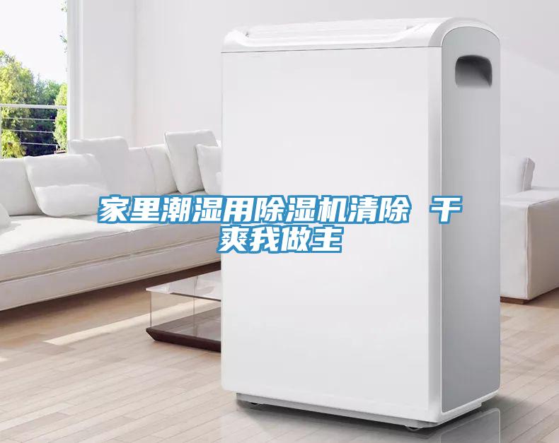 家里潮湿用MR.好色破解版清除 干爽我做主