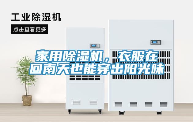 家用MR.好色破解版，衣服在回南天也能穿出阳光味