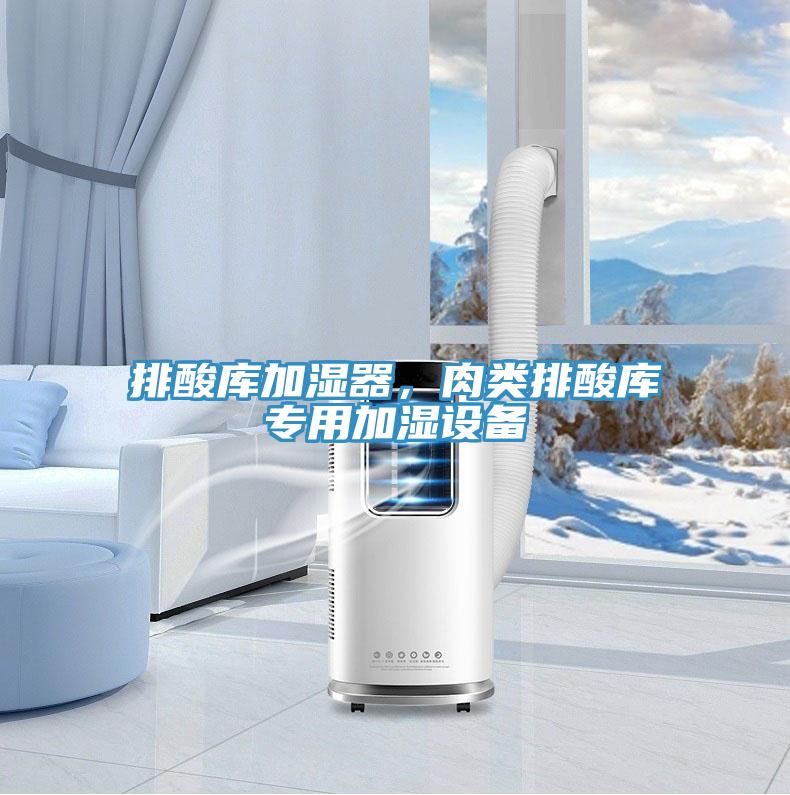 排酸库加湿器，肉类排酸库专用加湿设备