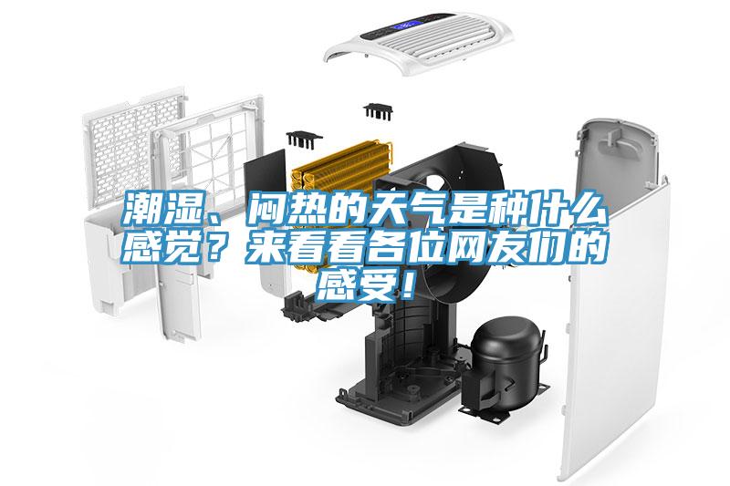 潮湿、闷热的天气是种什么感觉？来看看各位网友们的感受！