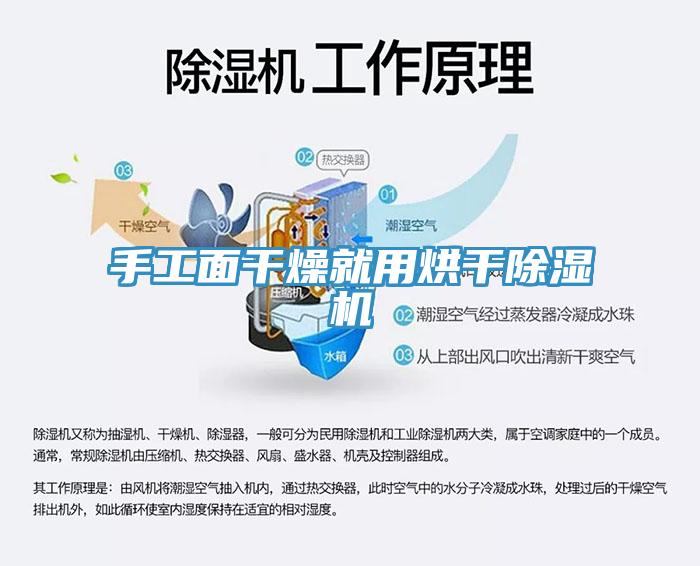 手工面干燥就用烘干MR.好色破解版