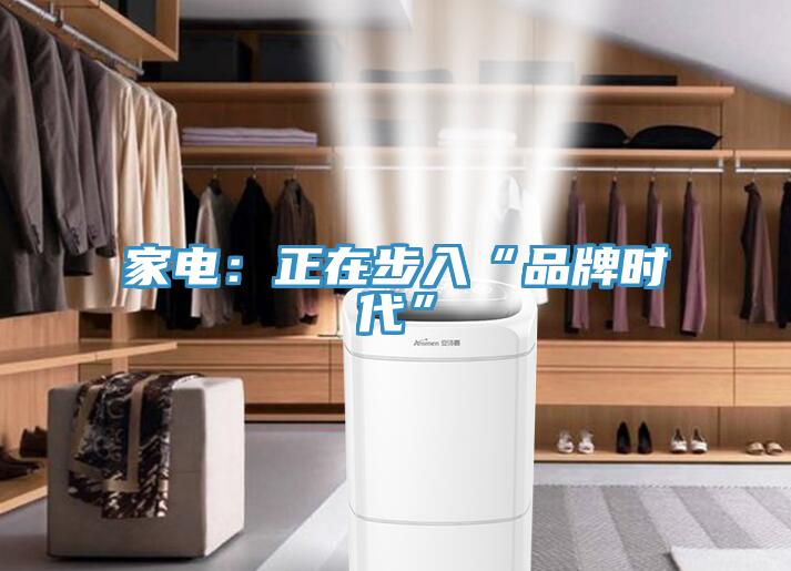 家电：正在步入“品牌时代”