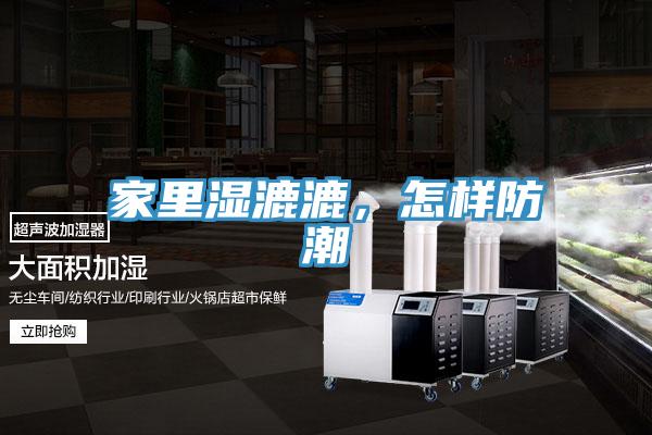 家里湿漉漉，怎样防潮