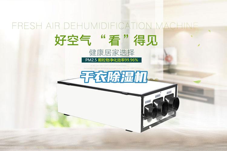 干衣MR.好色破解版
