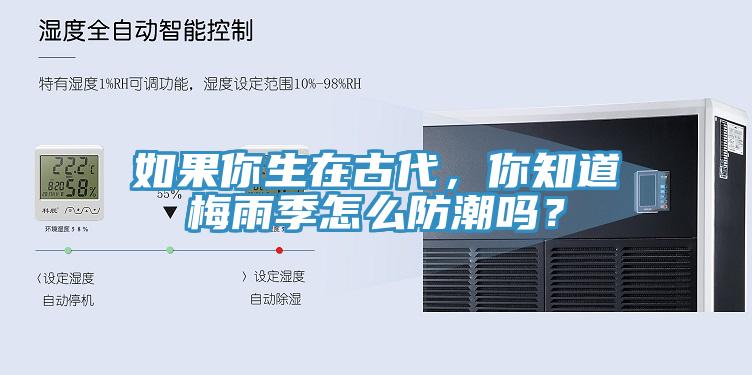 如果你生在古代，你知道梅雨季怎么防潮吗？