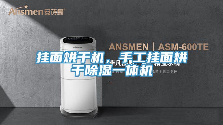 挂面烘干机，手工挂面烘干除湿一体机