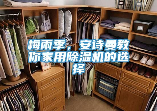 梅雨季，好色先生TV下载网站教你家用MR.好色破解版的选择