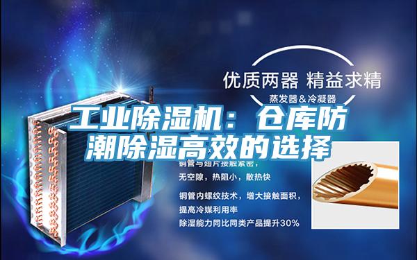 工业MR.好色破解版：仓库防潮除湿高效的选择