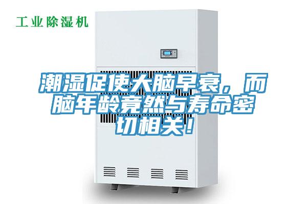潮湿促使大脑早衰，而脑年龄竟然与寿命密切相关！