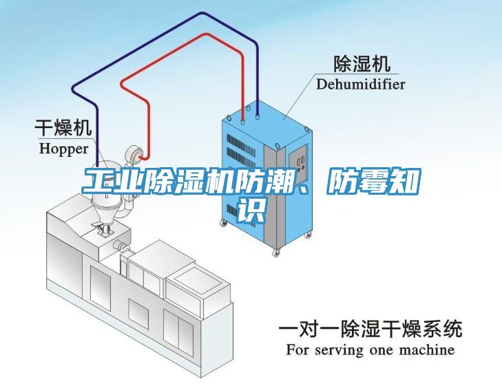 工业MR.好色破解版防潮、防霉知识