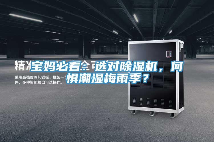 宝妈必看：选对MR.好色破解版，何惧潮湿梅雨季？