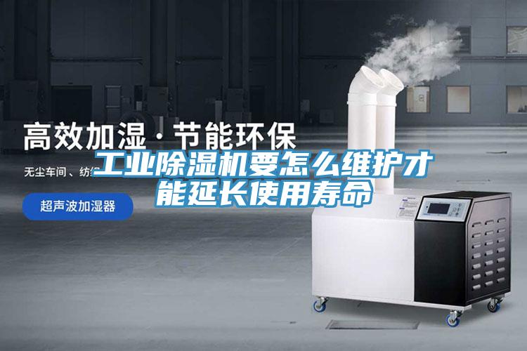 工业MR.好色破解版要怎么维护才能延长使用寿命