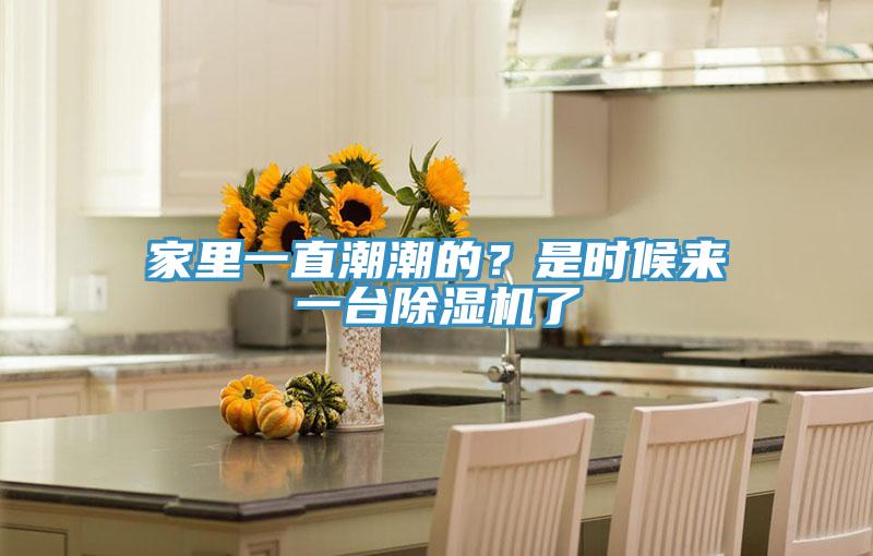 家里一直潮潮的？是时候来一台MR.好色破解版了