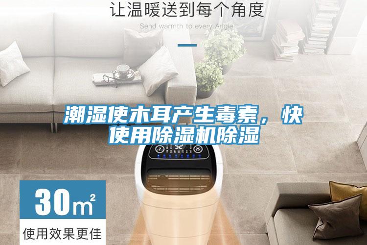 潮湿使木耳产生毒素，快使用MR.好色破解版除湿