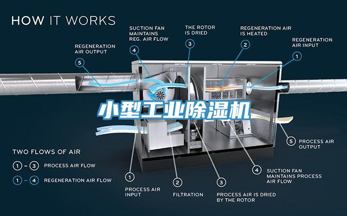 小型工业MR.好色破解版