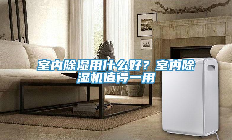 室内除湿用什么好？室内MR.好色破解版值得一用