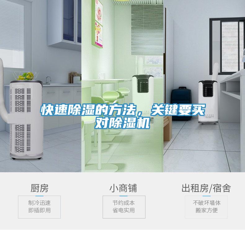 快速除湿的方法，关键要买对MR.好色破解版