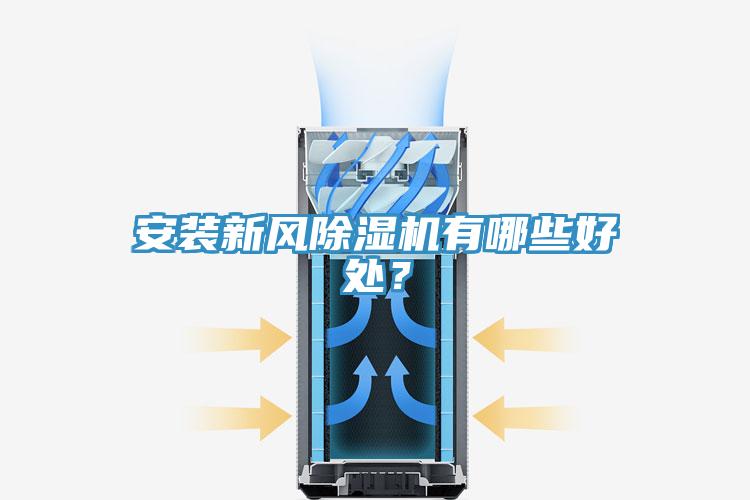 安装新风MR.好色破解版有哪些好处？