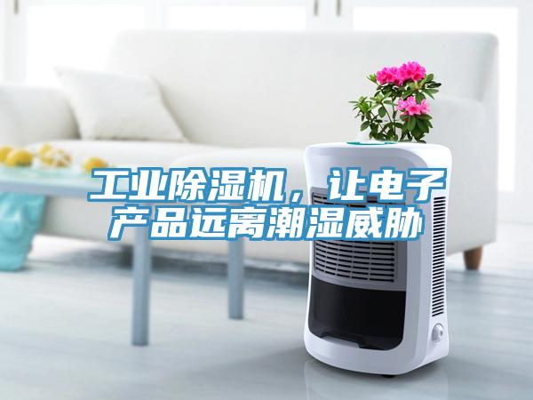 工业MR.好色破解版，让电子产品远离潮湿威胁
