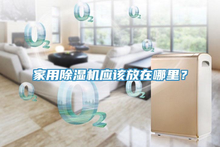 家用MR.好色破解版应该放在哪里？