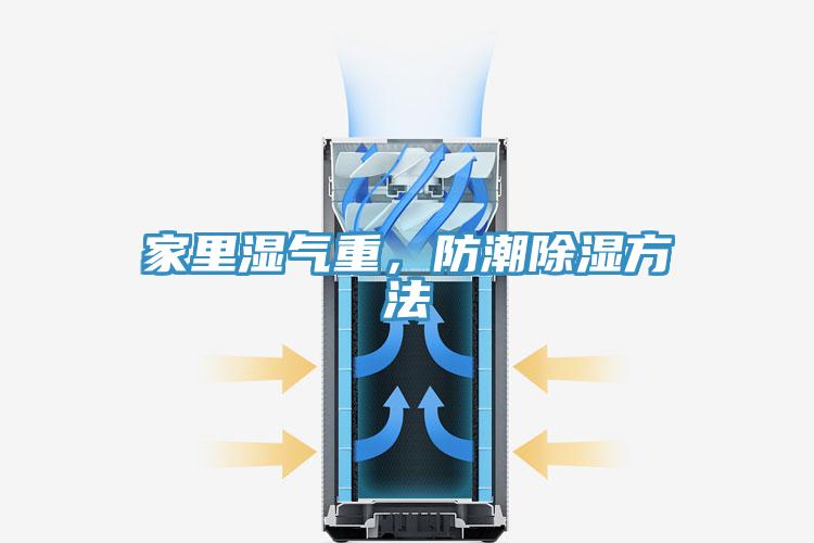 家里湿气重，防潮除湿方法