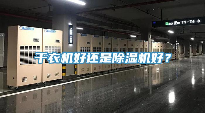 干衣机好还是MR.好色破解版好？