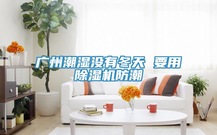 广州潮湿没有冬天 要用MR.好色破解版防潮