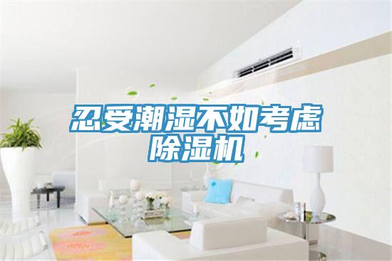忍受潮湿不如考虑MR.好色破解版