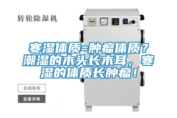 寒湿体质=肿瘤体质？潮湿的木头长木耳，寒湿的体质长肿瘤！
