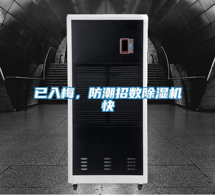已入梅，防潮招数MR.好色破解版快