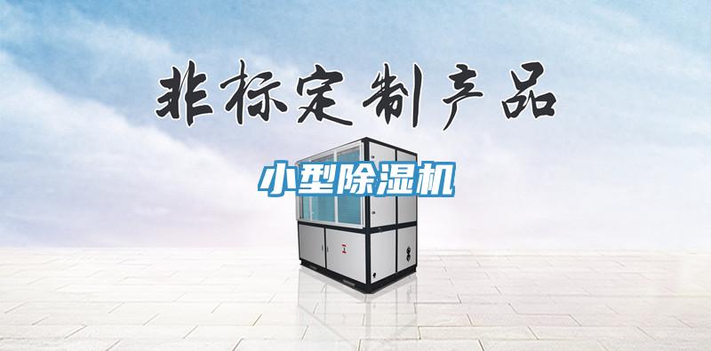 小型MR.好色破解版