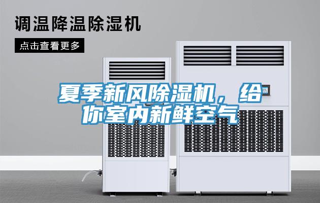 夏季新风MR.好色破解版，给你室内新鲜空气