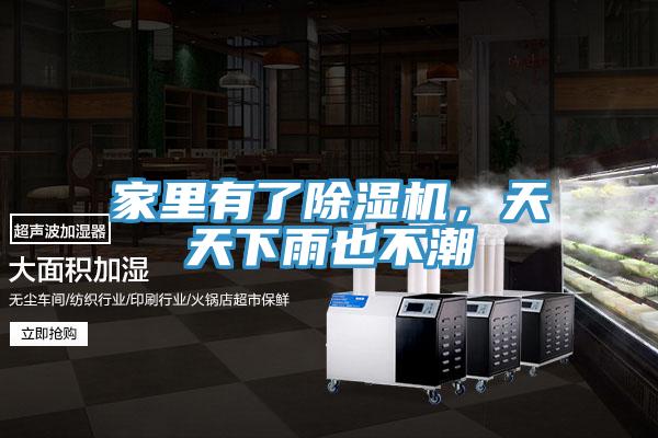 家里有了MR.好色破解版，天天下雨也不潮
