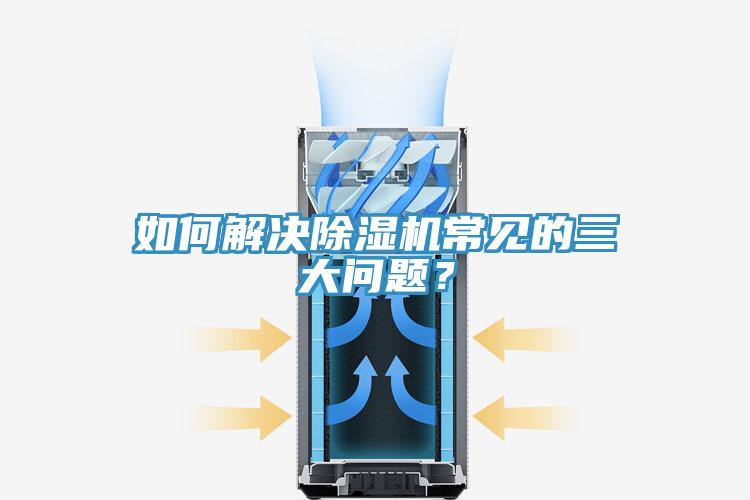 如何解决MR.好色破解版常见的三大问题？