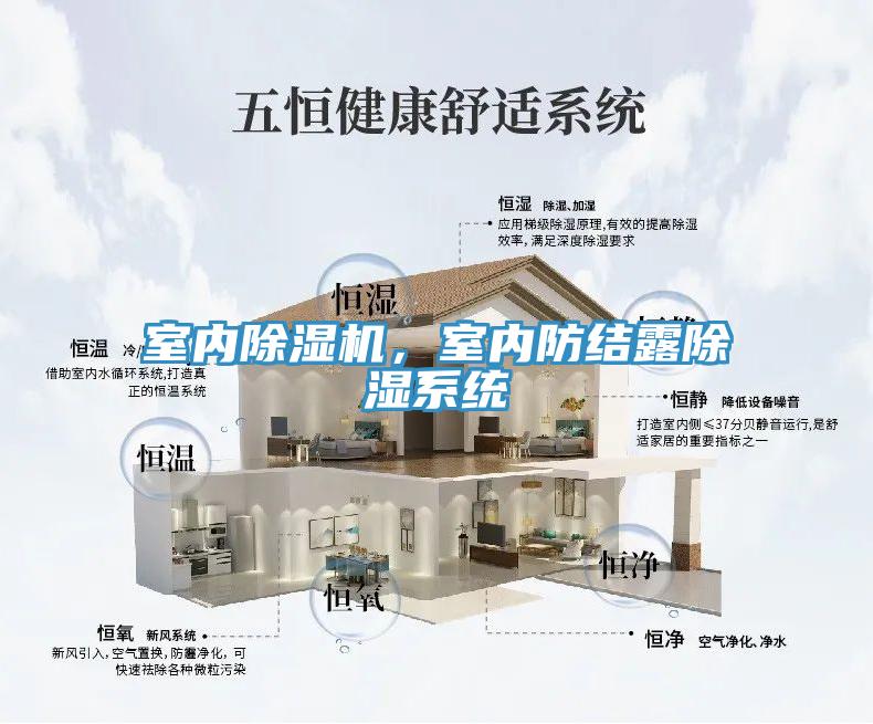 室内MR.好色破解版，室内防结露除湿系统