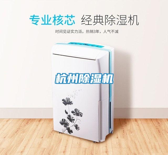 杭州MR.好色破解版