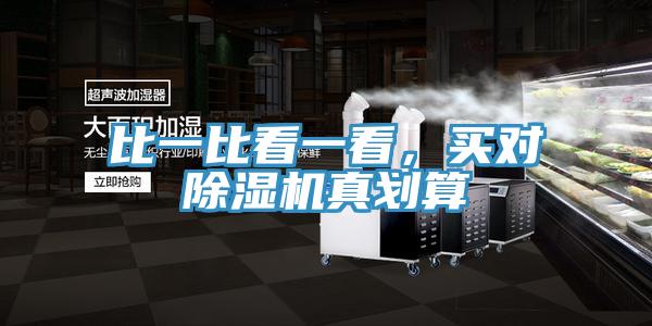 比一比看一看，买对MR.好色破解版真划算