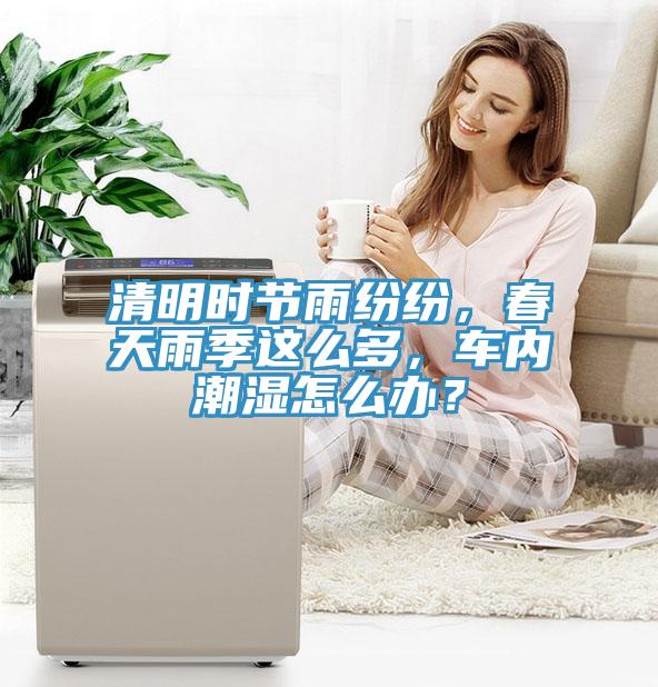 清明时节雨纷纷，春天雨季这么多，车内潮湿怎么办？