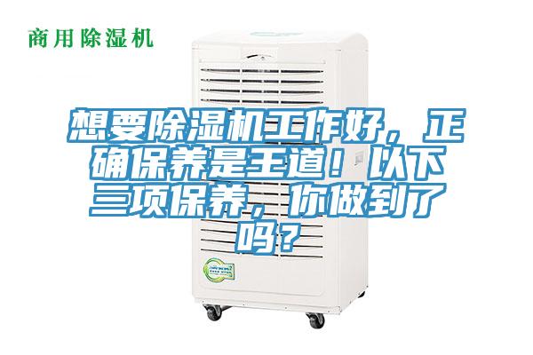 想要MR.好色破解版工作好，正确保养是王道！以下三项保养，你做到了吗？