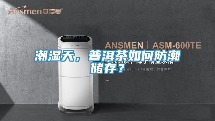 潮湿天，普洱茶如何防潮储存？