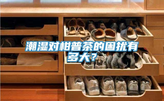 潮湿对柑普茶的困扰有多大？