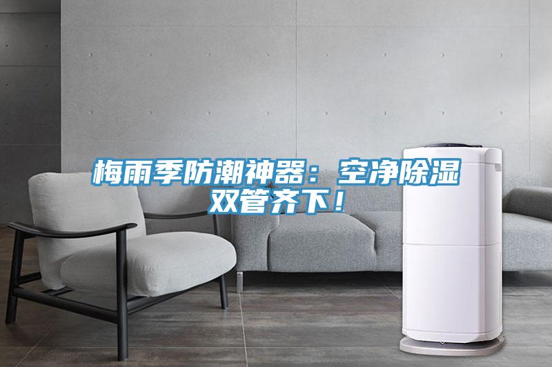 梅雨季防潮神器：空净除湿双管齐下！