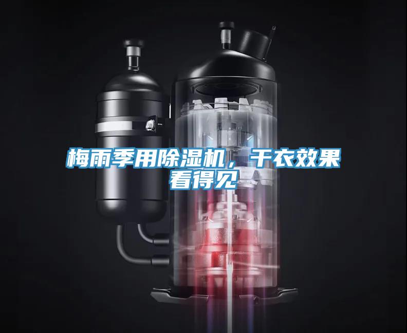 梅雨季用MR.好色破解版，干衣效果看得见