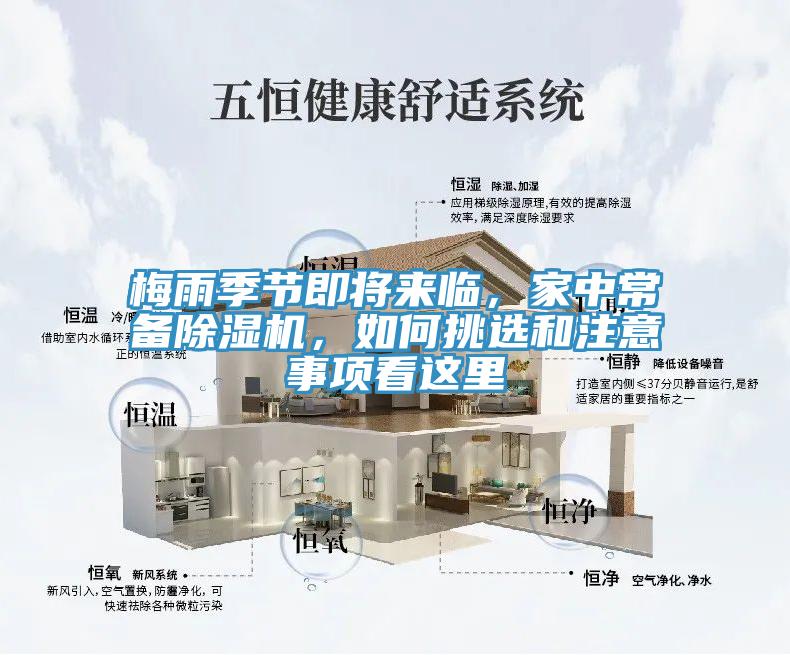 梅雨季节即将来临，家中常备MR.好色破解版，如何挑选和注意事项看这里